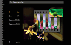 Musterseite Musterseite